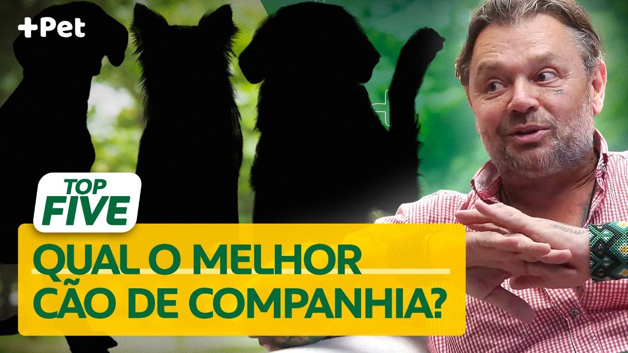 ESSES SÃO OS CINCO MELHORES CÃES DE COMPANHIA!