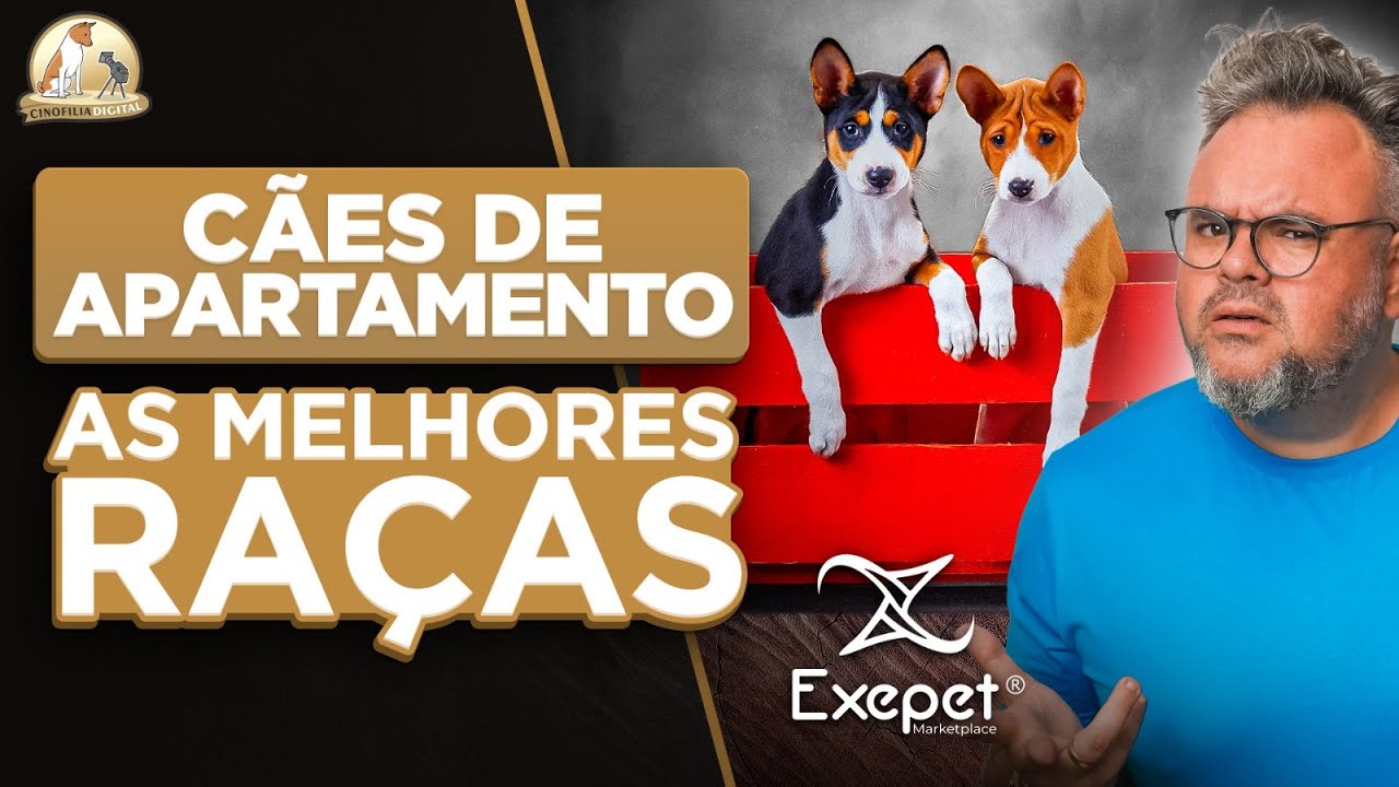 Melhores Cães para apartamento