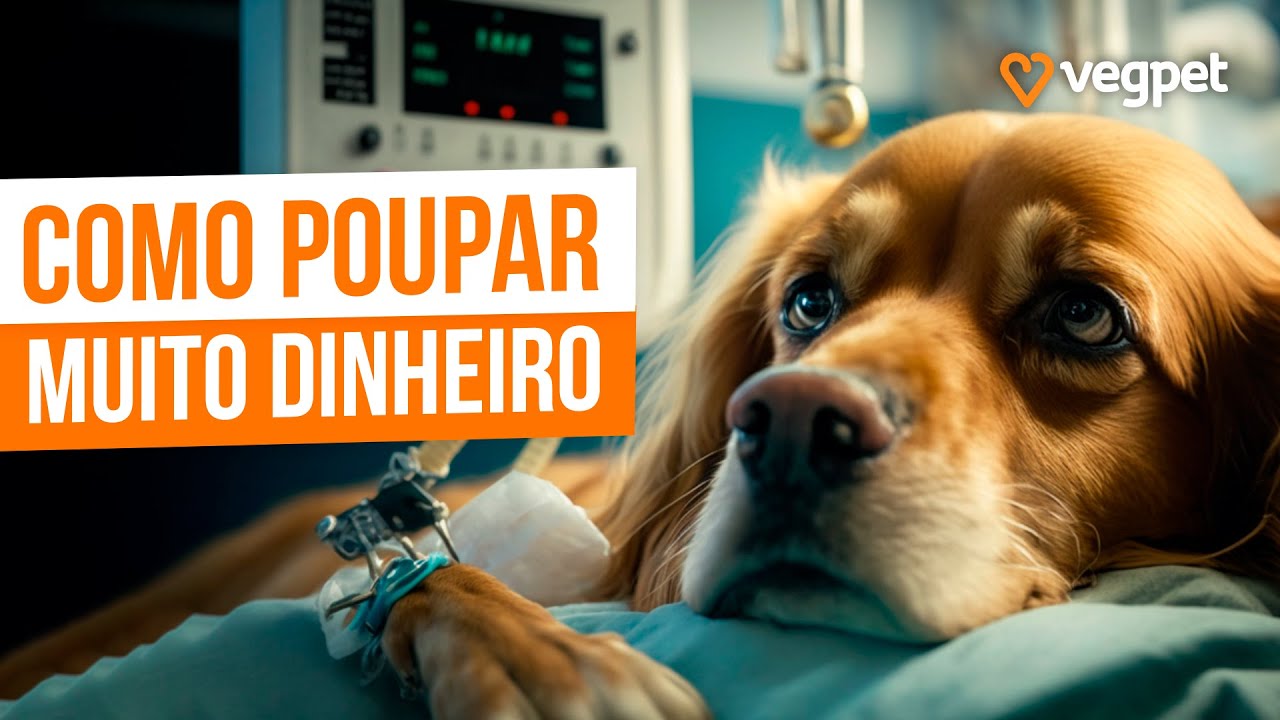 10 OPÇÕES DE PLANO DE SAÚDE PET Comparando Todas as Tabelas