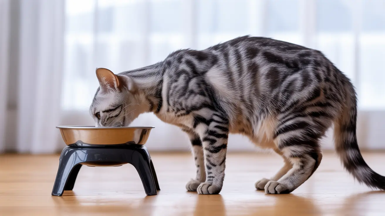 A Importância da Escolha Certa do Comedouro para Gatos